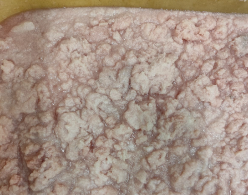 Espinhas de Tintureira Trituradas (Fish Bone Mince)